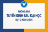 sau dai học